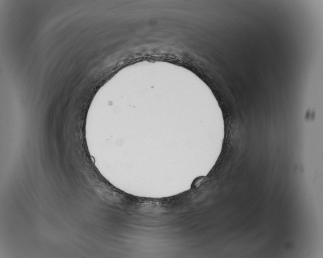 X0000115001489200911231152