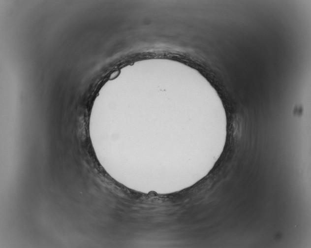 X0000115001493200911231152