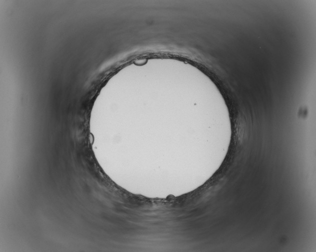 X0000115001494200911231152