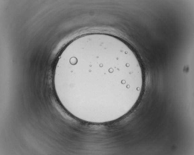 X0000115001498200911231152