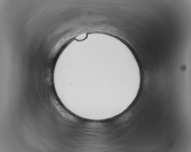 X0000115001499200911231152