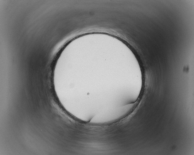 X0000115001502200911231152