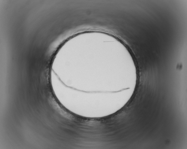 X0000115001503200911231152