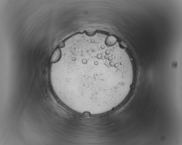 X0000115001505200911231152