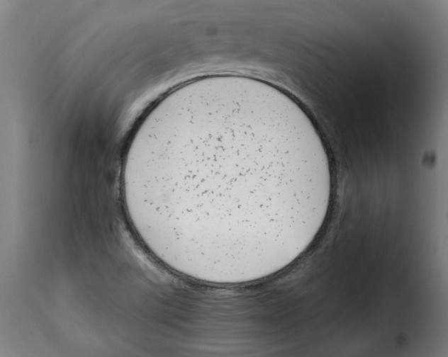 X0000115001507200911231152