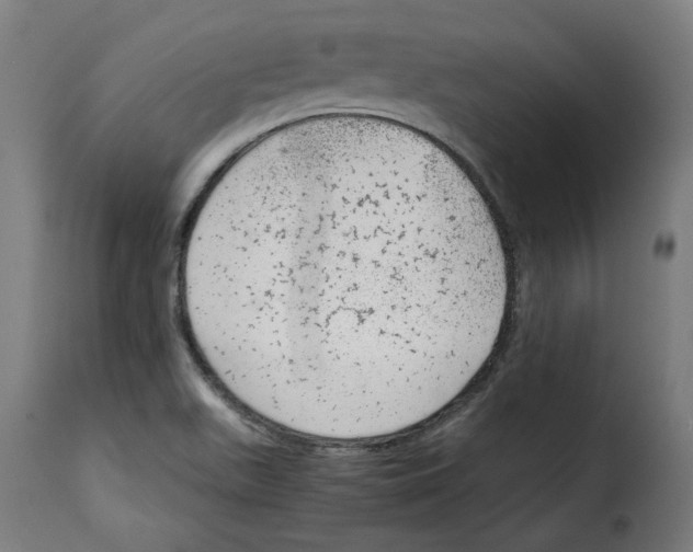 X0000115001511200911231152