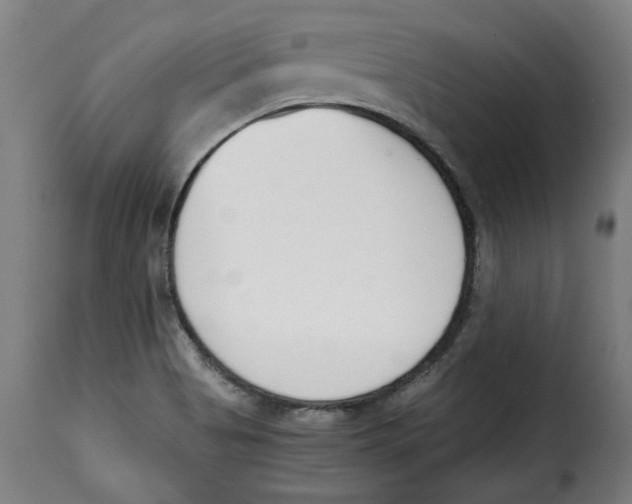 X0000115001513200911231152