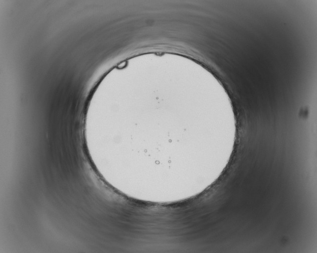 X0000115001514200911231152