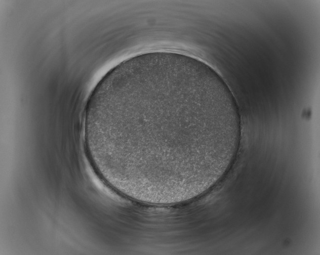 X0000115001515200911231152