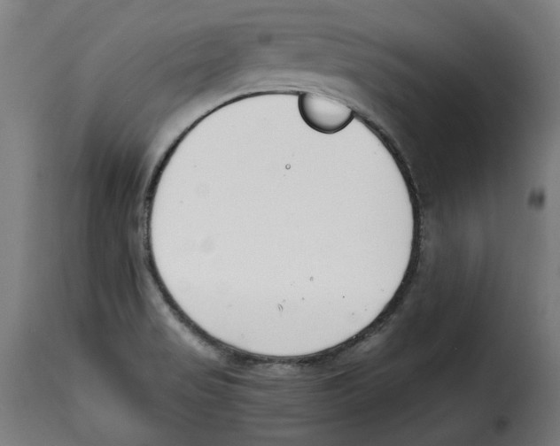 X0000115001517200911231152