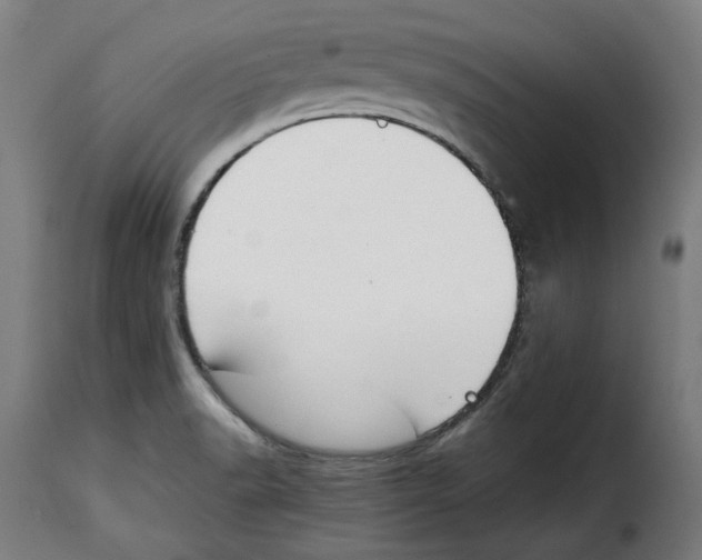 X0000115001518200911231152