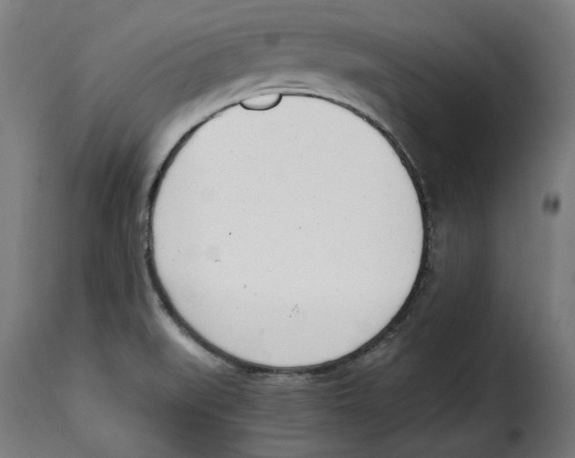 X0000115001519200911231153