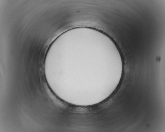 X0000115001521200911231153