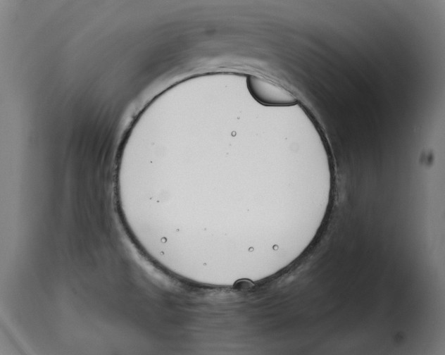 X0000115001525200911231153