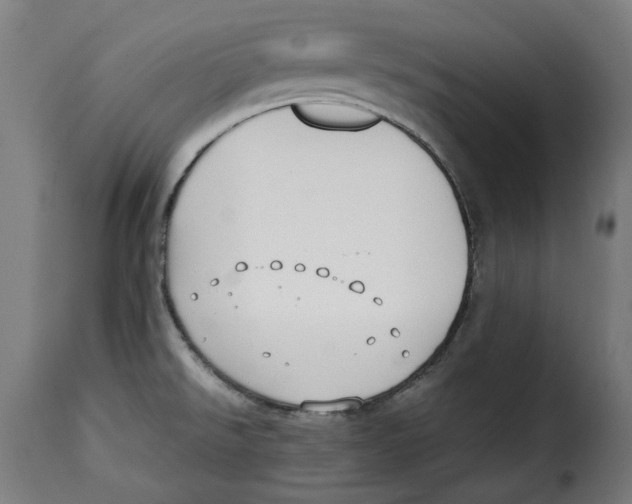 X0000115001526200911231153