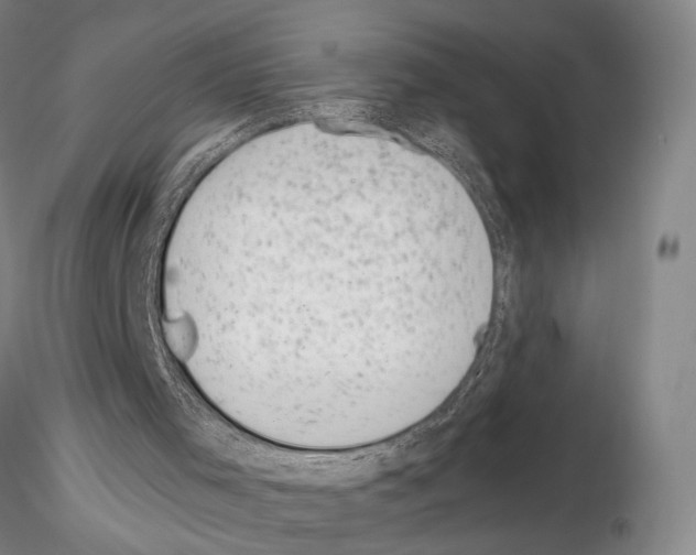 X0000115000001200912071151