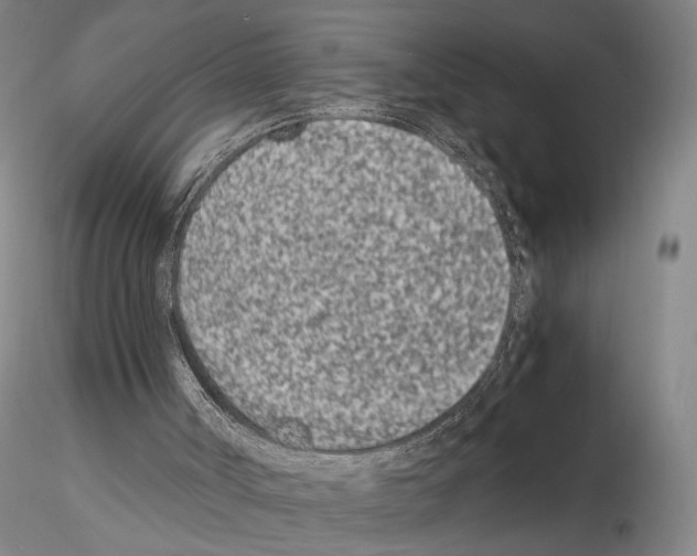 X0000115000002200912071151