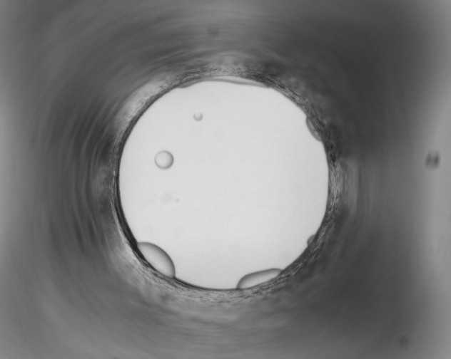 X0000115000003200912071151