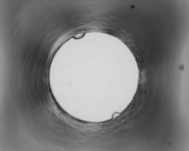 X0000115000004200912071151