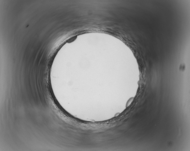 X0000115000005200912071151