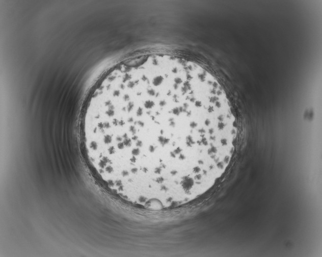 X0000115000006200912071151