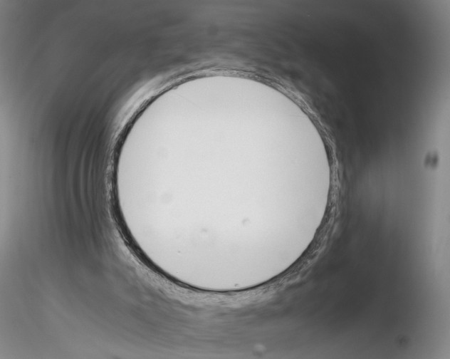 X0000115000007200912071151