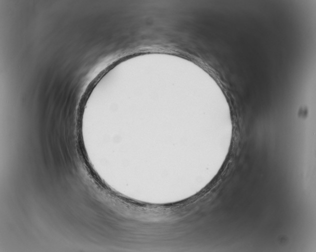 X0000115000008200912071151