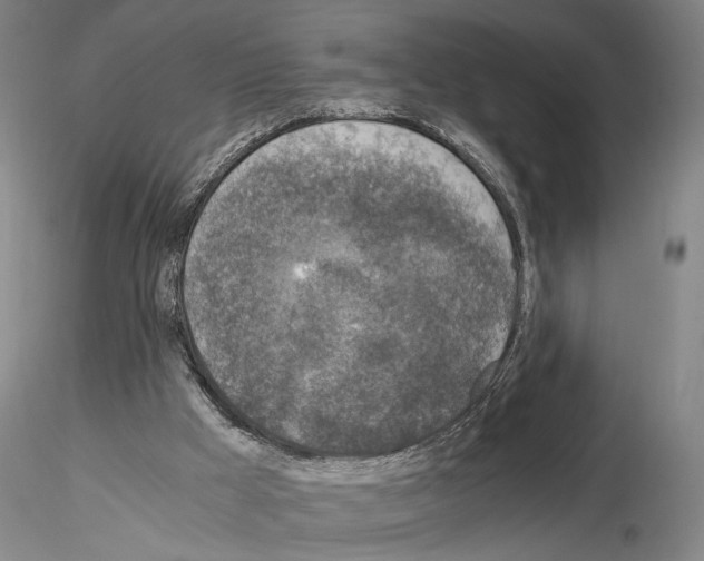 X0000115000009200912071151