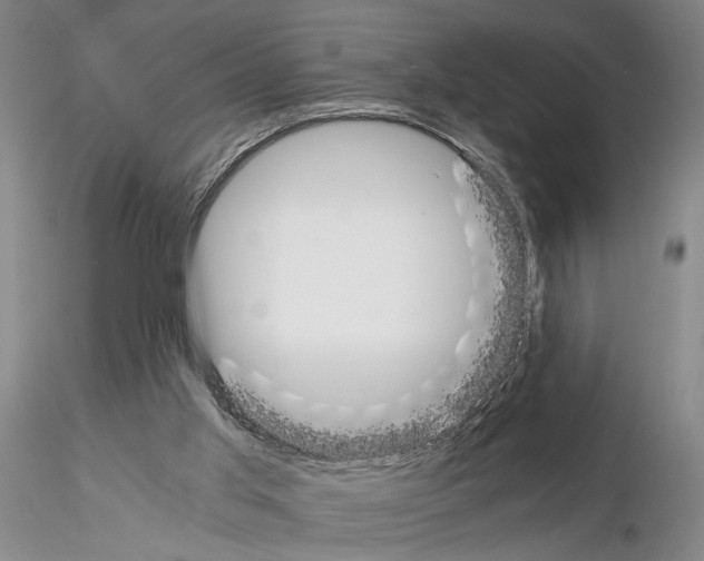 X0000115000013200912071151