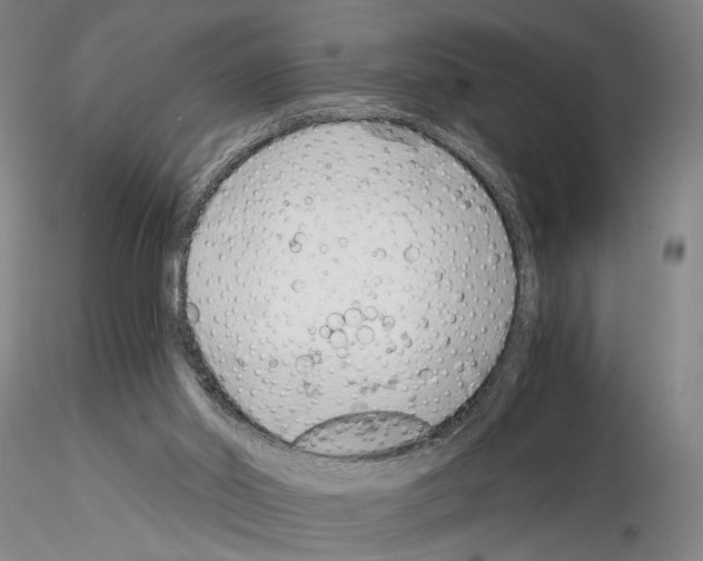 X0000115000014200912071151