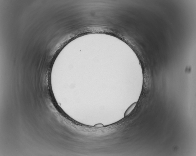 X0000115000015200912071151