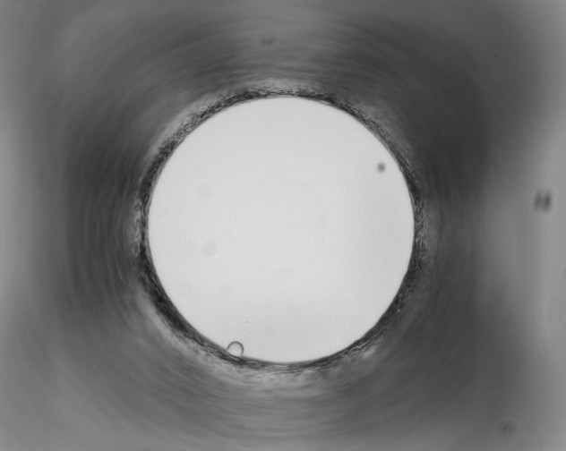 X0000115000016200912071151