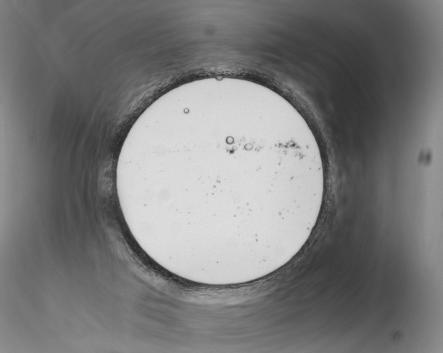 X0000115000017200912071151