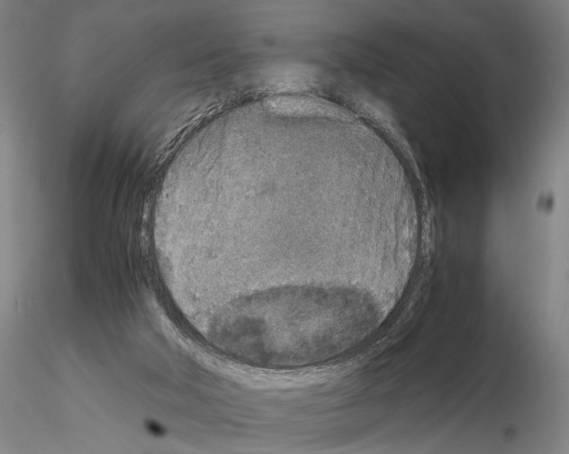 X0000115000018200912071151