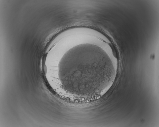 X0000115000019200912071151