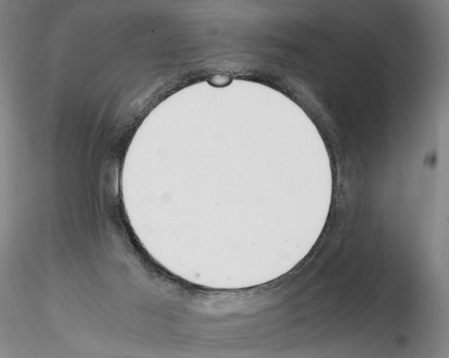 X0000115000021200912071151