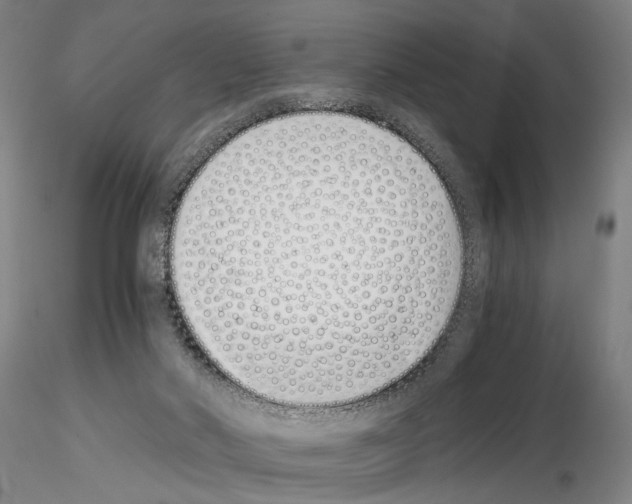 X0000115000022200912071151