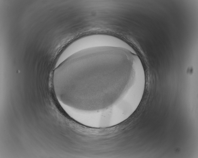 X0000115000023200912071151