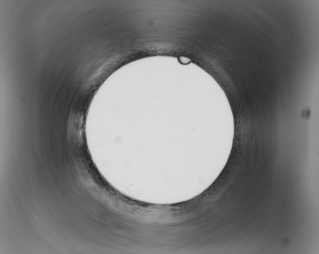 X0000115000024200912071151