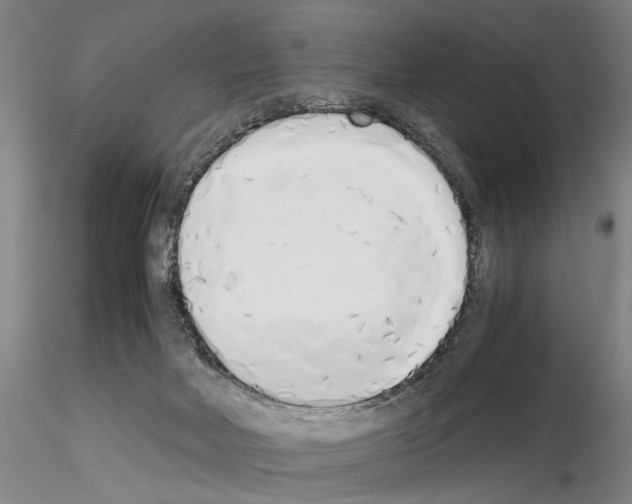 X0000115000026200912071151