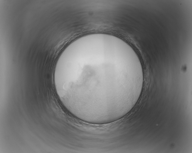 X0000115000027200912071151