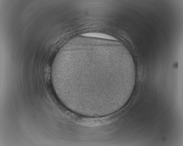 X0000115000029200912071151