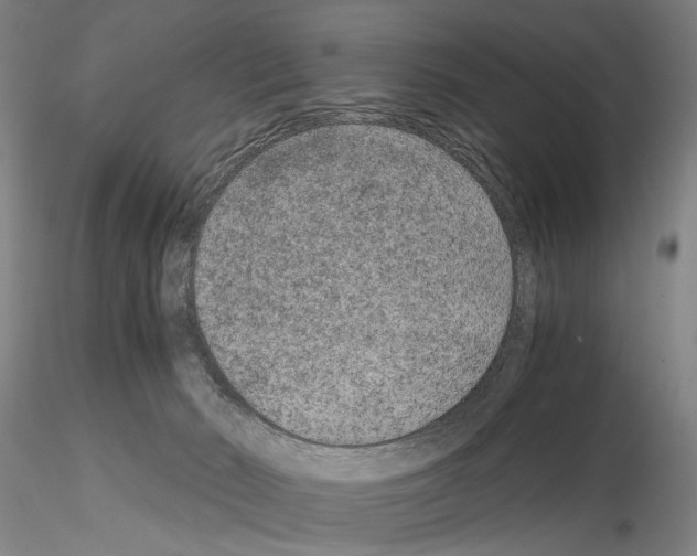 X0000115000030200912071151