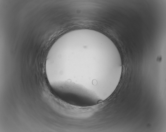 X0000115000031200912071151