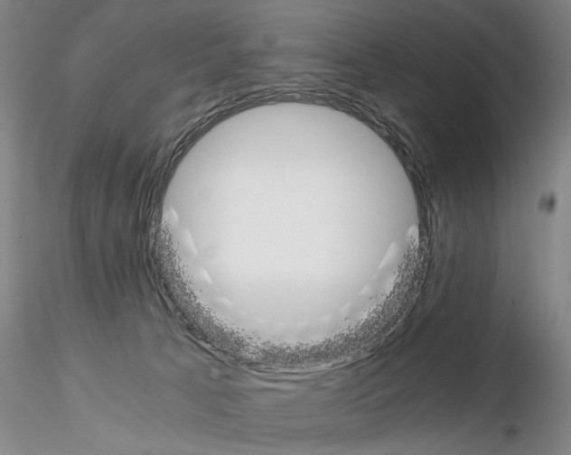 X0000115000033200912071151