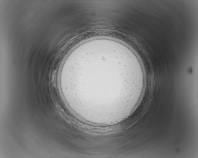 X0000115000034200912071151