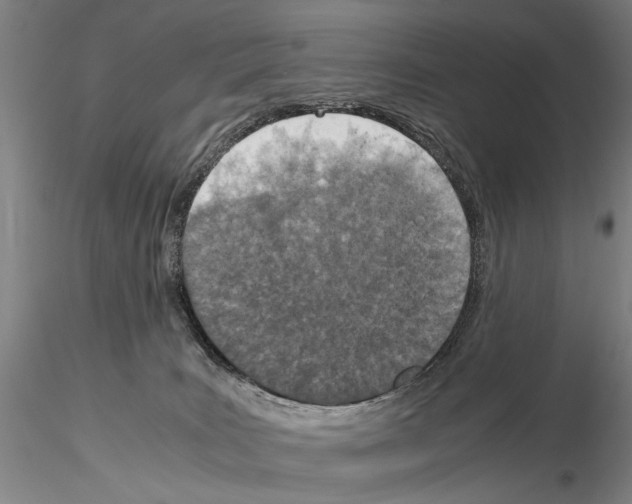 X0000115000035200912071151