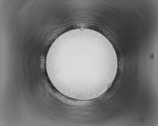 X0000115000036200912071151