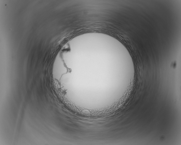 X0000115000037200912071151