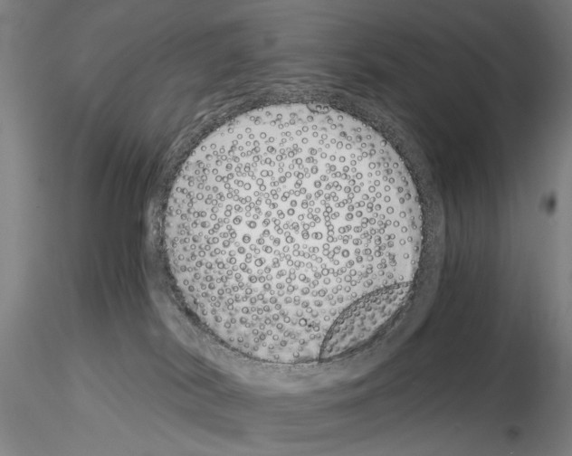 X0000115000038200912071151